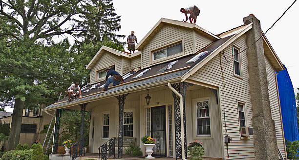 Best Storm Damage Roof Repair  in Excelsior Springs, MO