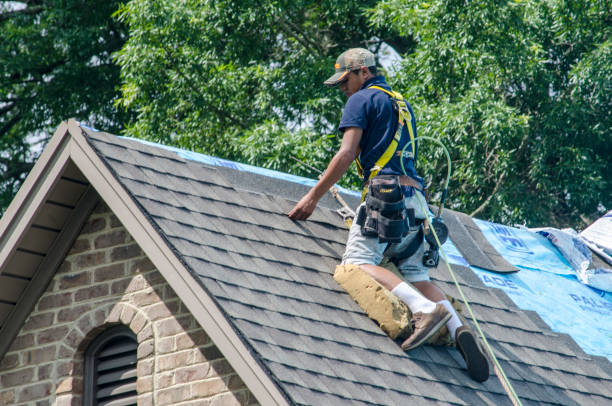 Best Roof Leak Repair  in Excelsior Springs, MO